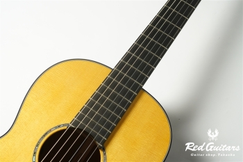 00-Nylon w/FISHMAN Matrix VT Enhance